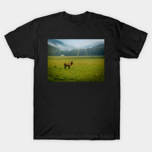 Elk in the Valley T-Shirt